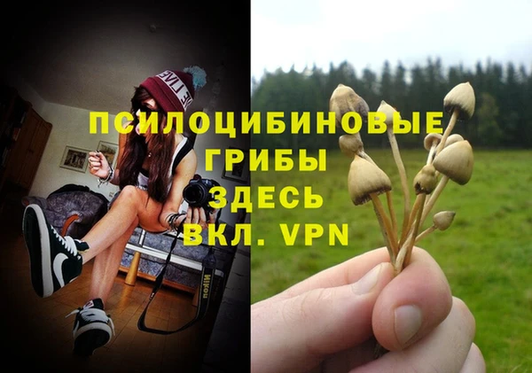 амф Белоозёрский